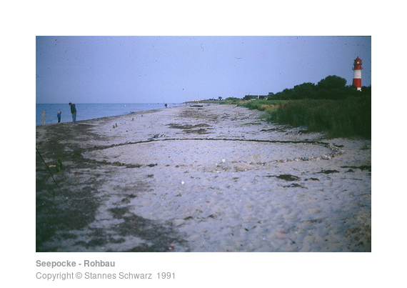 Seepocke - Rohbau